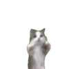 🤎🐱Gatitos🐱🤎 14
