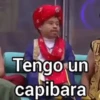 😂🇲🇽STICKERS DE LCDLF🇲🇽😂 7