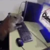 Shitpost 18
