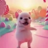 Pibble Dancing | Memes 🐶 7