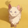 Cat anime 23