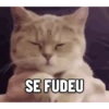 SE FUDEU