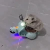 Animalitos 🦝🐭🐰🦊 23