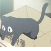 Cat anime 30