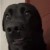 Necessary GIFs 21