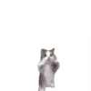 SHITPOST  8