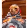 Ai que preguiça  7