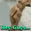 Funny Action Reaction 10