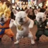 Pibble perro Tiktok 😎 22
