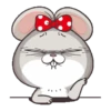 Miss rabbit petite 11