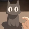 Cat anime 17