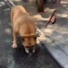 GIFs Bixins com Calor 2 🥵 13