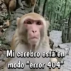 🍌🦍MoNoS #2🍌🦍 9