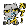 Baby Meow zhua zhua 14