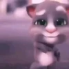 TALKING ANGELA 💓 5