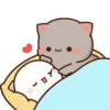 🤎🐱Gatitos🐱🤎 13