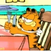 Garfield 9