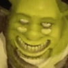 Shrek Animado 💚 11