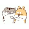 Meme kucing gerak lucu 14