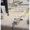 Ai que preguiça  6