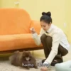 Kuma BBang