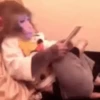 Macaquinhos reagindo 🙈 13