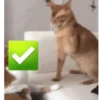 GIFs for Check ✅ 18
