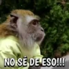 🍌🦍MoNoS #2🍌🦍 8