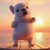 Pibble Dancing | Memes 🐶 9