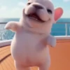Perro pibble tiktok🔥 10