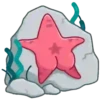 Funny Súper Star⭐️🌊🐚 12