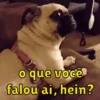 O que você falou aí, hein?