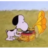 Snoopy ramdom  6