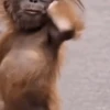 Животные, созданные с помощью ИИ 🐶 15