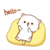 🤎🐱Gatitos🐱🤎 12