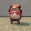 🧿Rana que Baila 🐸 8