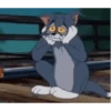 Tom y jerry*Animados*🐭🐱 13