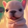 🧿 Pibble, o cachorro 🐕🐶 19