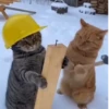 Michis Tóxicos Vol. 1 🐱💣 3