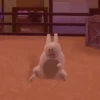 Gubby Roblox 18