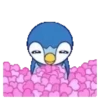 Piplup Emociones 🐧 8
