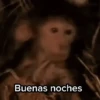 Buenas noches