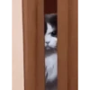 Cat Meme 2025 26