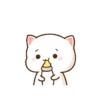 NEW CATT KIYOWOO 9