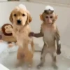 Perritos con actitud 2 📲🐕 9