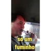 Lobinho 11