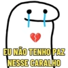 EU NÃO TENHO PAZ NESSE CARALHO