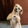 Eita  6