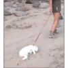 Ai que preguiça  5