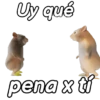 Ratones contestones 🐁🐭 10